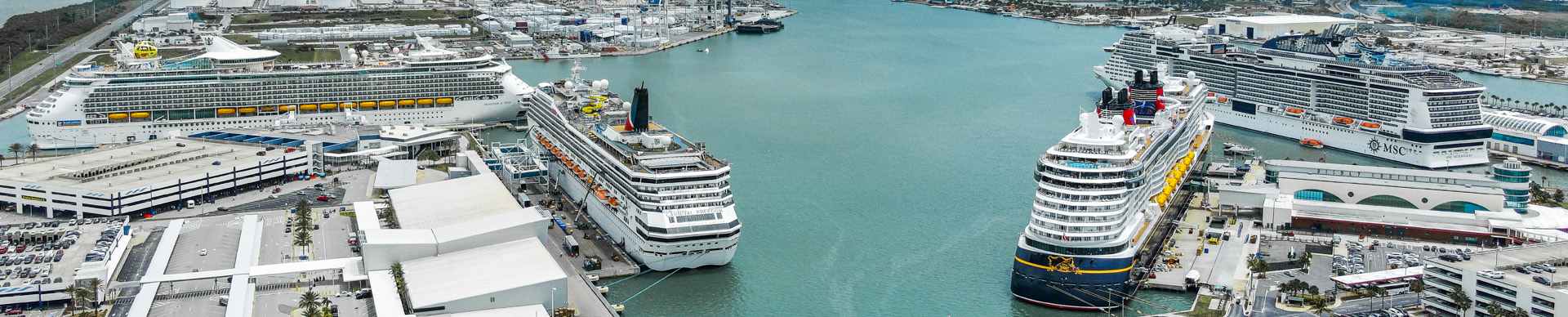 Birds eye view of cruise ships docked at the port